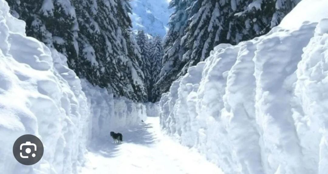 Vikendice Preradovic Villa Žabljak Buitenkant foto