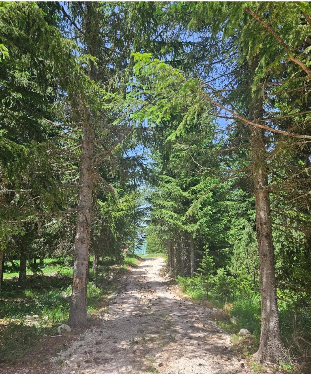 Vikendice Preradovic Villa Žabljak Buitenkant foto